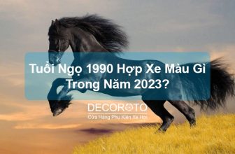 Tuổi Ngọ 1990 Hợp Xe Màu Gì Trong Năm 2023? | Nam/Nữ Mua Xe