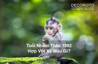 Tuổi Nhâm Thân 1992 Hợp Với Xe Màu Gì?