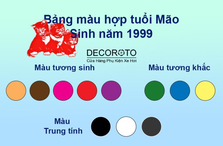 Sinh Năm 1999 Hợp Xe Màu Gì Hợp Phong Thủy Năm 2023?