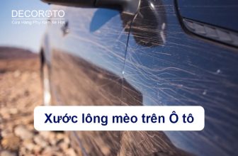 Xước Lông Mèo Trên Ô Tô: Nguyên Nhân Và Cách Khắc Phục
