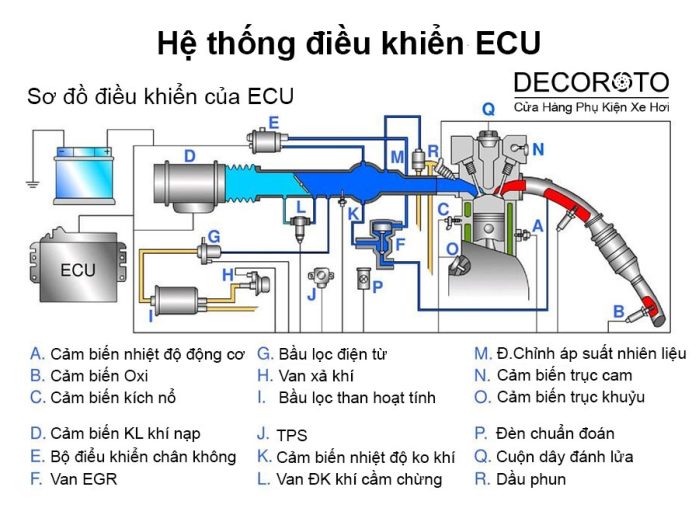 ECU là gì? Nguyên lý, công dụng trên Ô tô & dấu hiệu bị hỏng