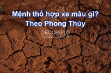 Mệnh Thổ Mua Xe Màu Gì Hợp Phong Thủy Trong Năm 2023