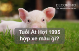 Tuổi Ất Hợi 1995 Hợp Xe Màu Gì Trong Năm 2023?