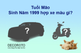 Sinh Năm 1999 Hợp Xe Màu Gì Hợp Phong Thủy Năm 2023?