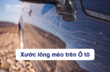 Xước Lông Mèo trên Ô tô: Nguyên nhân, cách khắc phục
